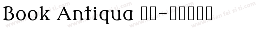 Book Antiqua 常规字体转换